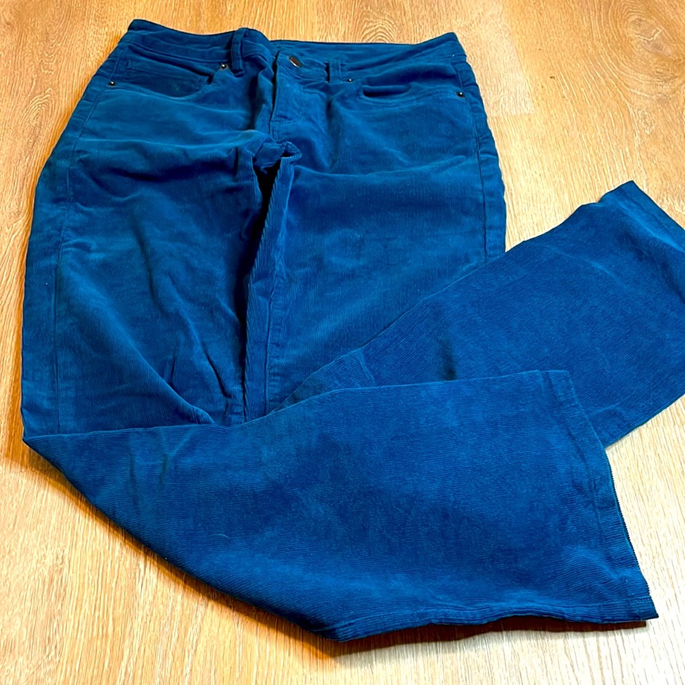 Patagonia Womens blue Size 28‎ Corduroy Hiking Pants B1